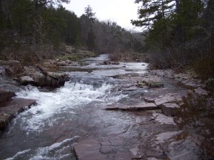 Lower Rock Creek