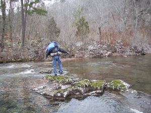 Brent, looking for the trail