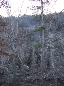 Cathedral Canyon, the opposite side of the creek from us.