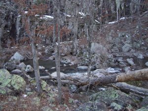 The creek, below the campsite
