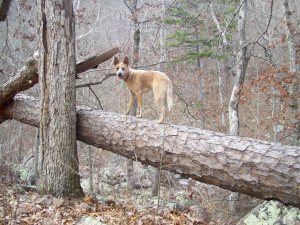 375753_2675353403831_1902267109_n