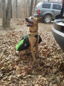 599606_10200846268019954_1370626736_n