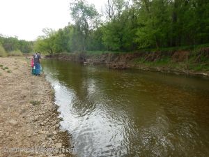 Joachim Creek 4-25-15 035