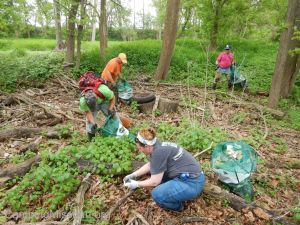 Joachim Creek 4-25-15 048