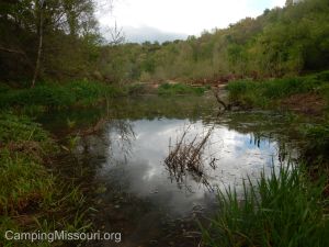 Joachim Creek 4-25-15 057