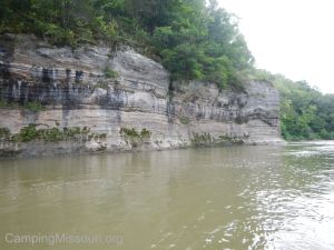 Eagle Scout Cleanup 133