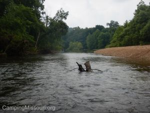 Castor River Ranch 118