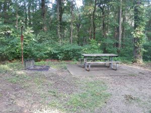 Trail of Tears State Park 303