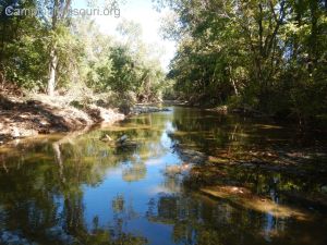 Buck Creek 141