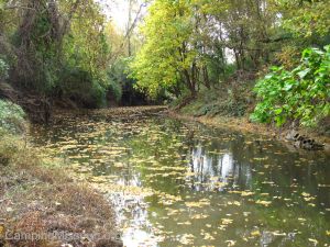 RdP Trash Bash IMG_0644